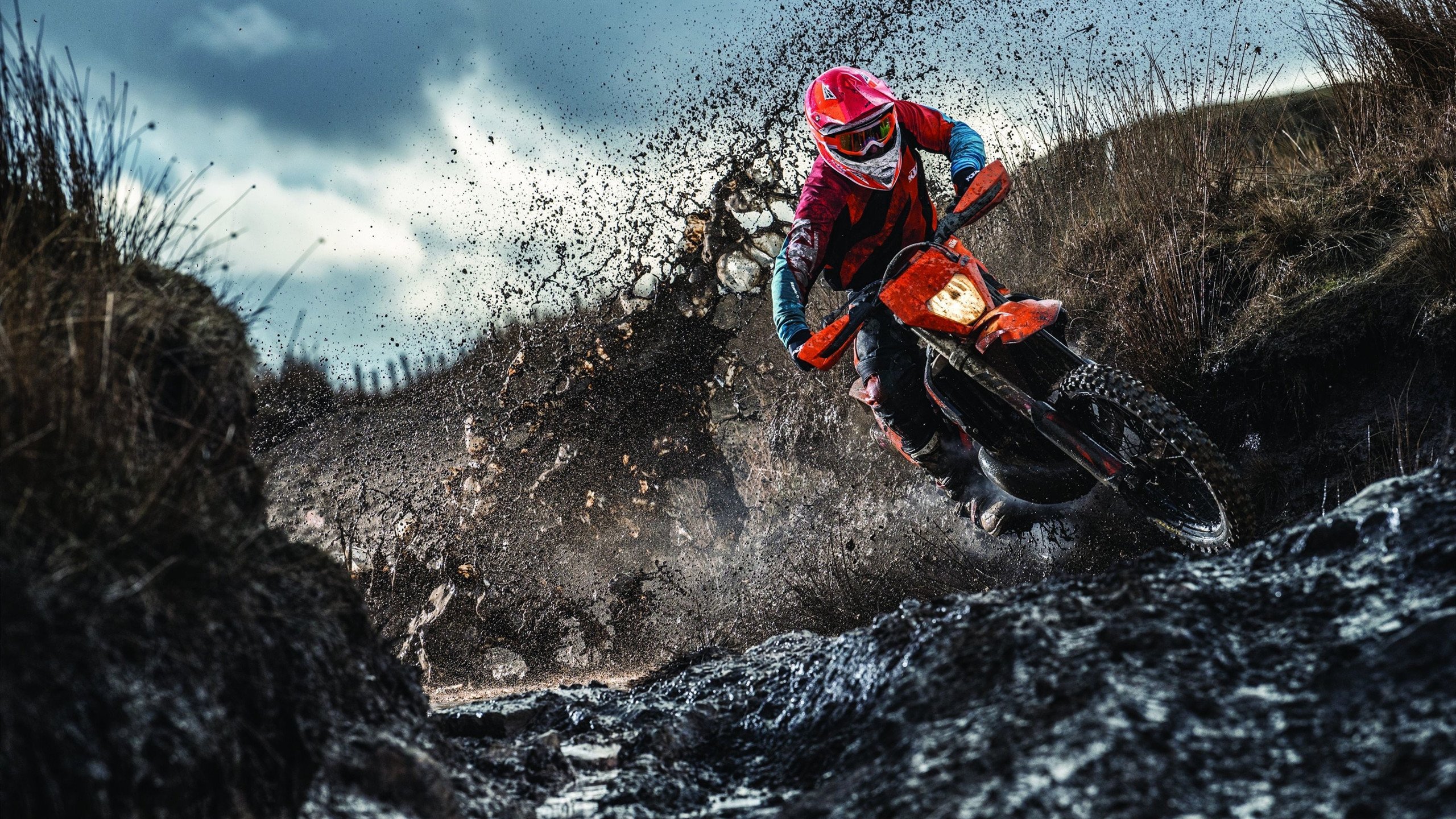 体育明星带动全球热潮